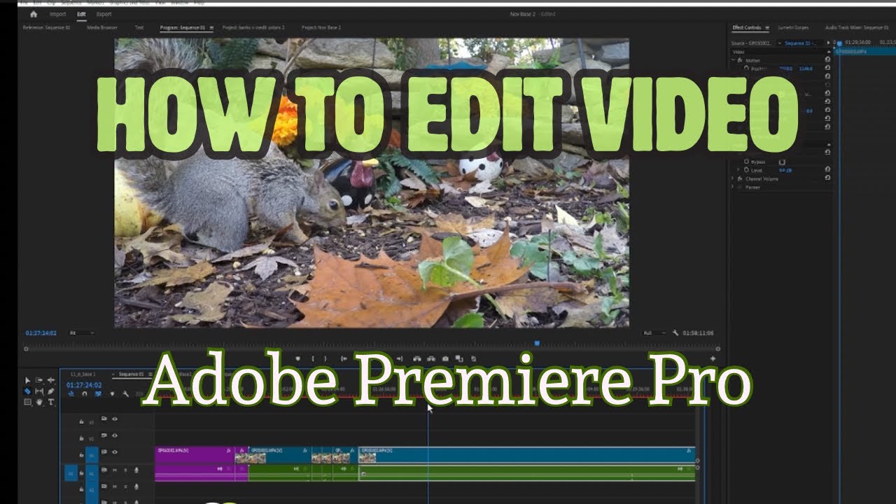 How to edit video with Adobe Premiere Pro | Video editing tutorial in ...