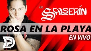 Rosa en la playa (Audio & Letra) David de Pablos ⚡️ Ex- Salserin | En vivo