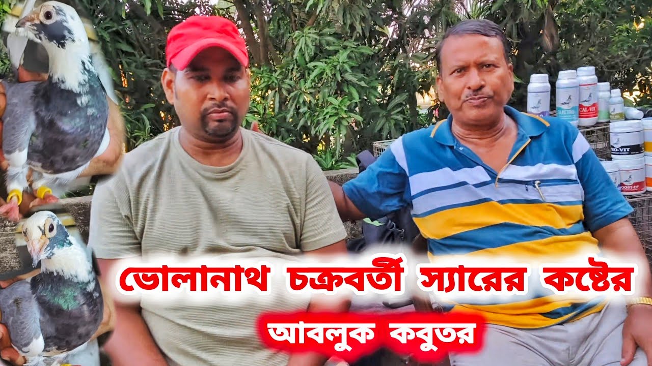 ভোলানাথ চক্রবর্তী স্যারের আবলুক কবুতর।VOLANATH CHOKROBORTI KA ABLUK KABUTOR। 