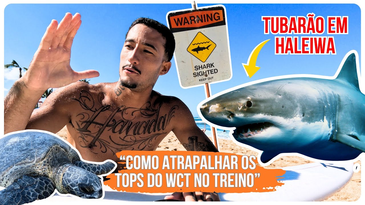Tentativa de surf no Hawaii - TUBARÃO e tartarugas