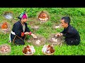 Dwarf Family Harvesting Chicken Eggs | How to Distinguish Incubating Eggs | Delicious Egg Recipes