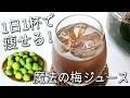 もう市販は買わない!3日で完成!飲む美容液で血管から若返る!白砂糖不使用 【梅 シロップ】で不調をリセット