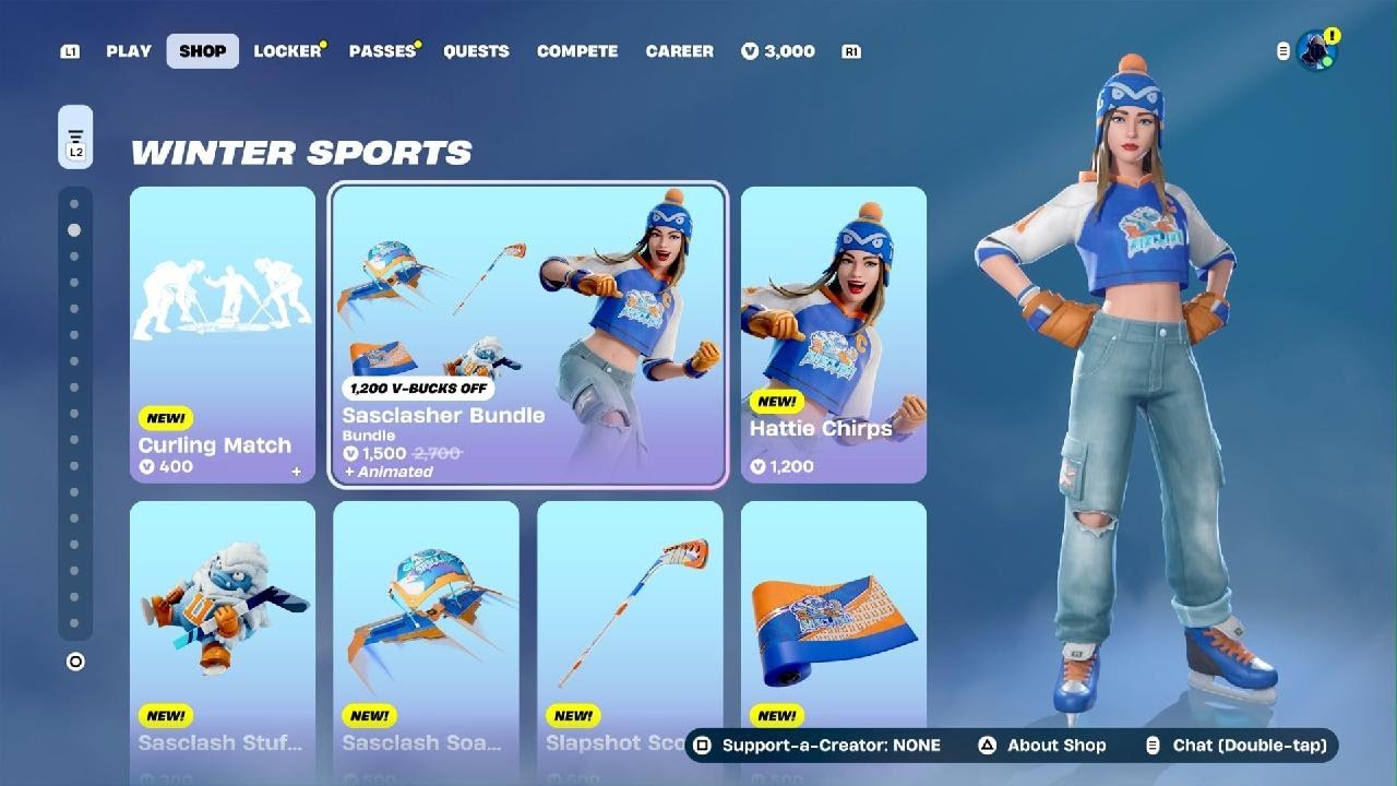 New hokey bundle + New car