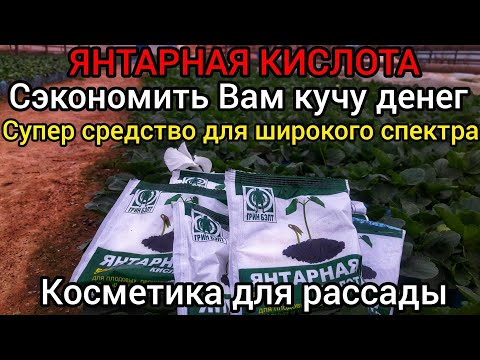 МНОГИЕ НЕ ЗНАЮТ!!! ЧТО У ЯНТАРНОЙ КИСЛОТЫ ТАКОЙ ШИРОКИЙ СПЕКТР ПРИМЕНЕНИЯ Бегом за Янтарной кислотой