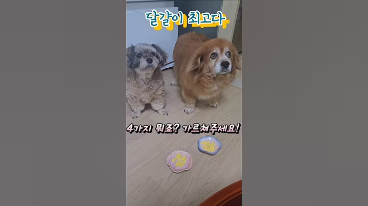 달걀 삶을 때 꼭 이것을 넣으세요 #건강정보