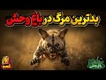 وقتی زندانیان بی گناه باغ وحش ها از کوره در میروند قسمت اول