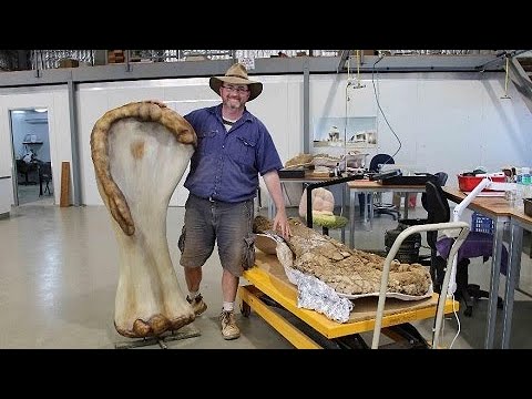 Vídeo: Os Cientistas Acreditam Ter Encontrado Na Sibéria Os Restos Mortais De Uma Nova Espécie De Dinossauros - Visão Alternativa