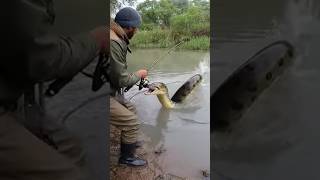 Anaconda Infests River In Uzbekistan, Terrorizing Fishermen