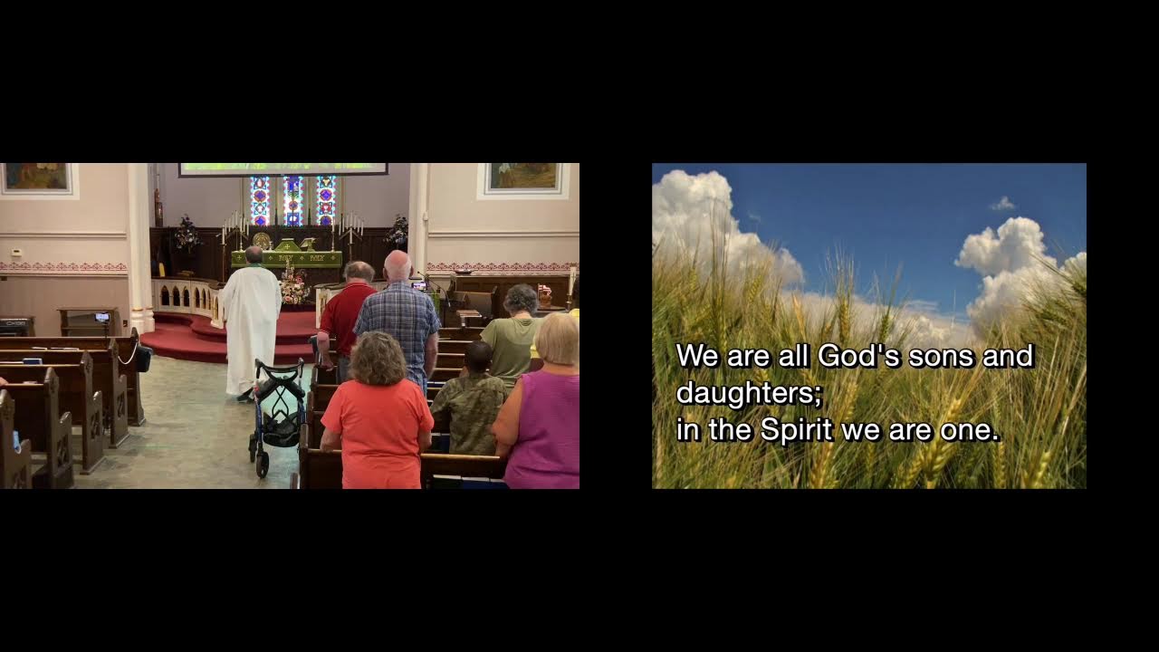 Eighth Sunday after Pentecost- July 19, 2026