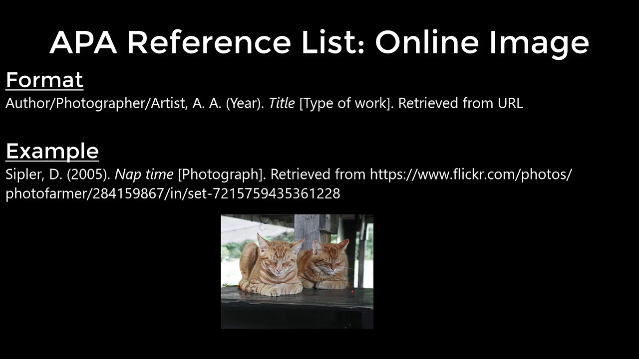 APA Tutorial - YouTube