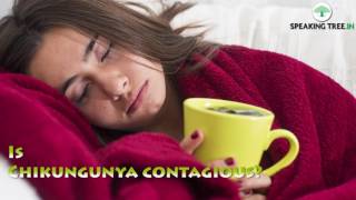 Everything you need to know about Chikungunya | Treatment | Home remedies | Symptoms | Cure
