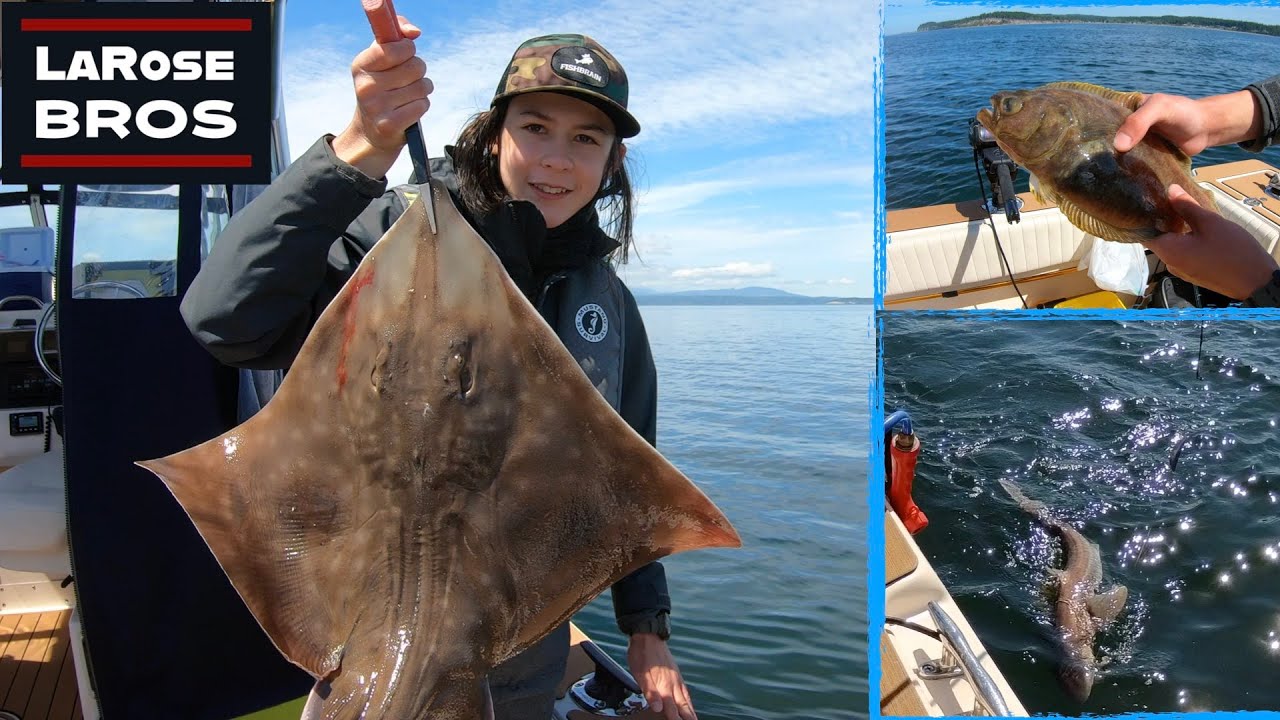 HALIBUT, SKATE, AND SHARK FISHING in the Puget Sound LaRoseBros YouTube