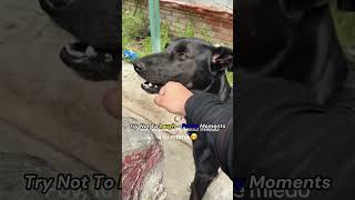 Share With Friends For Double The Fun pov sketch comedy youtubeshorts story fyp