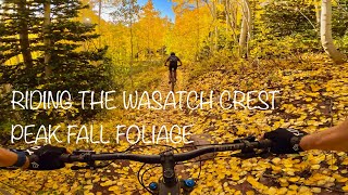 THE WASATCH CREST // Utah Mountain Biking by seamus dolan 117 views 7 months ago 4 minutes, 53 seconds