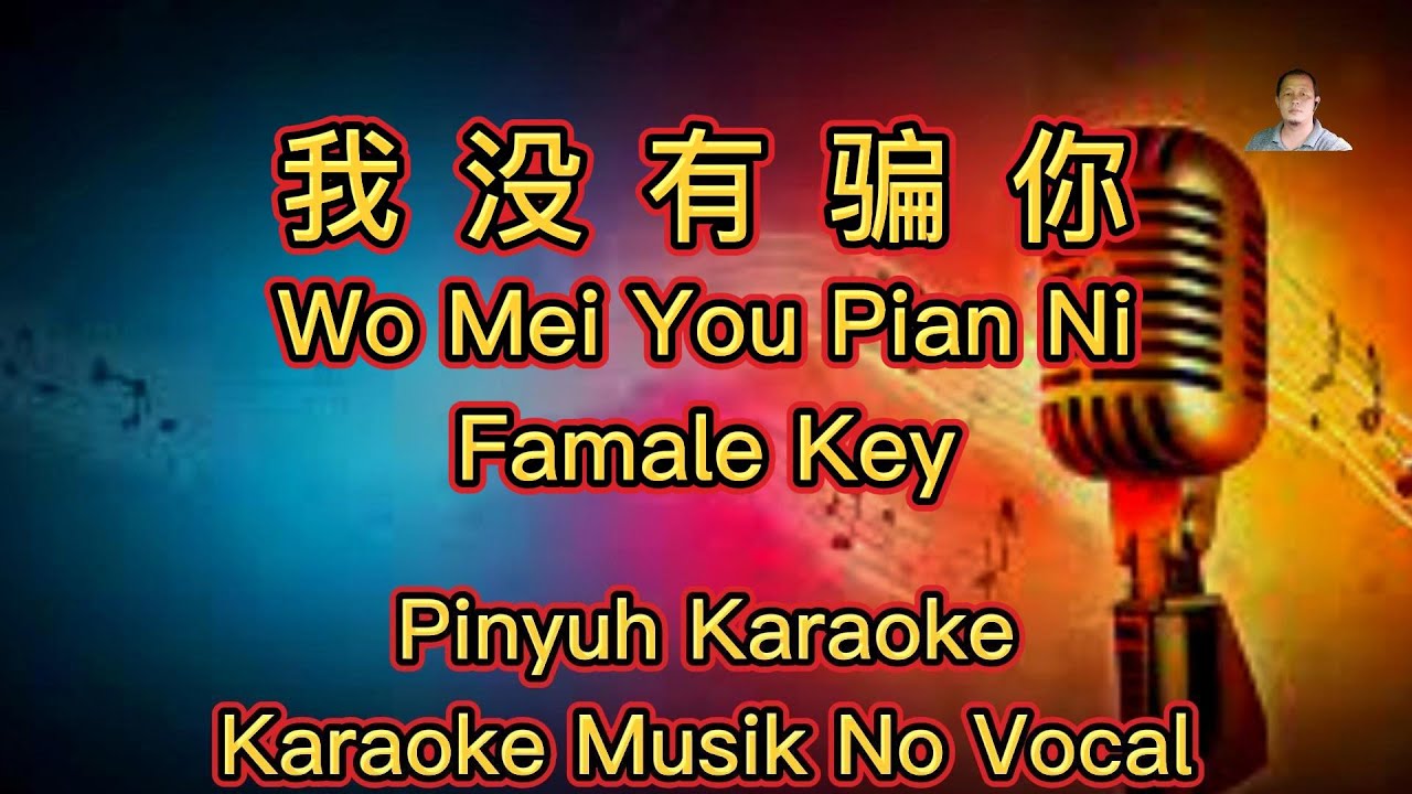 Wo Mei You Pian Ni ~  我没有骗你 ~  Karaoke  ~  Musik No Vocals