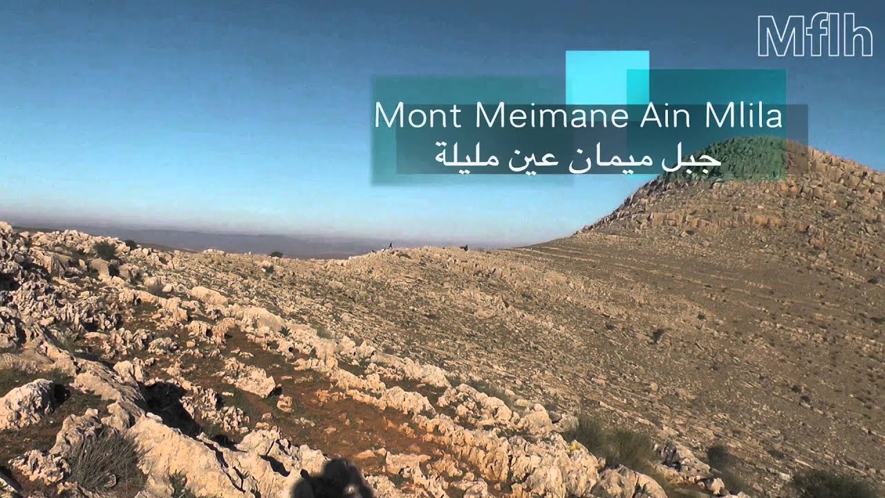 حيحاية مطاردة للذئاب والخنازيرالبرية عين مليلة وضواحيها Hihaya Ain M'lila et ça environs