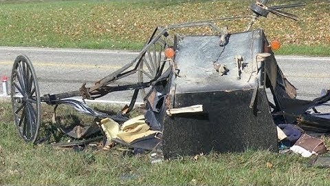 Michigan buggy crash 3 children killed, 6 hurt after truck slams into carriage