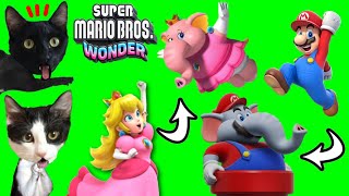 Super Mario Bros Wonder pero jugando en familia con gatitos Luna y Estrella / Gameplay en español