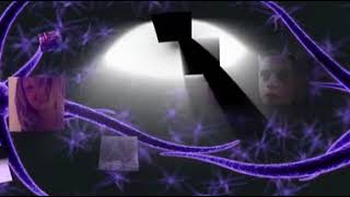 Disorganized Catatonic Paranoid Schizophrenia (2K 360) Update