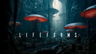Lifeforms  Calm Space Ambient Meditation  Soothing Ambient Music for Sleep and Relaxation