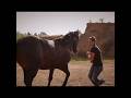 ديمس روسيس Far A Way ديمس روسيس Far A Way
