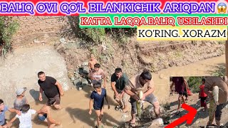Baliq Ovi Qol Bilan Kichik Ariqdan Katta Laqqa Baliq Ushlashdi Xorazm Koring
