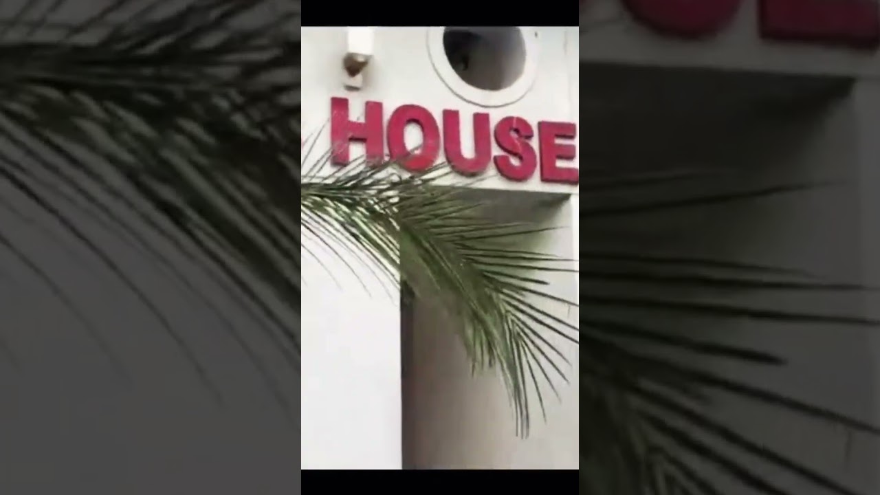 My cute community tour 