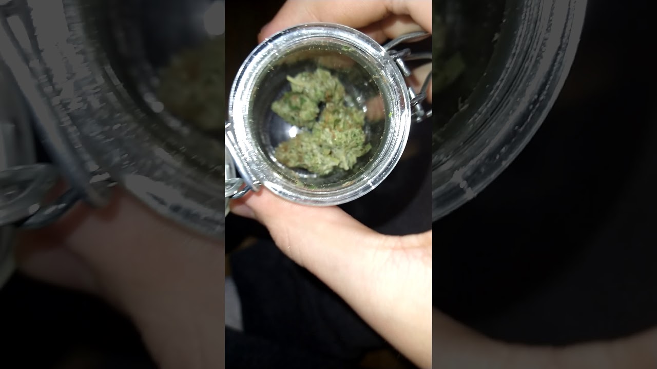 gorilla breath take a look at that 🥰