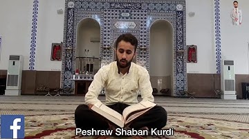 تلاوة هادئة وجميلة بصوت القارئ بيشراو شعبان الكردي Peshraw Shaban Kurdi
