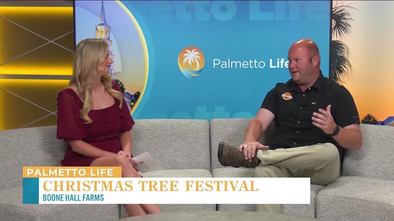 VIDEO Boone Hall Farms Christmas Tree Festival YouTube