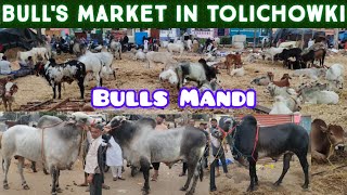 bulls market in Hyderabad tolichowki | bade janwar in tolichowki hakimpet limra hotel | big bulls