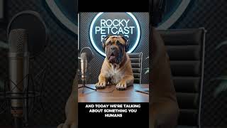 Do Dogs Feel Envy Too?