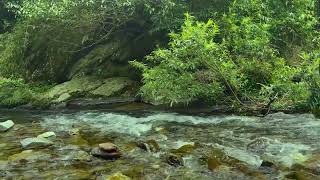 Calming Mountain Nature Sounds in the Old Forest - River Sounds for Sleeping - ASMR Water by Nature Sounds 196 views 2 weeks ago 10 hours