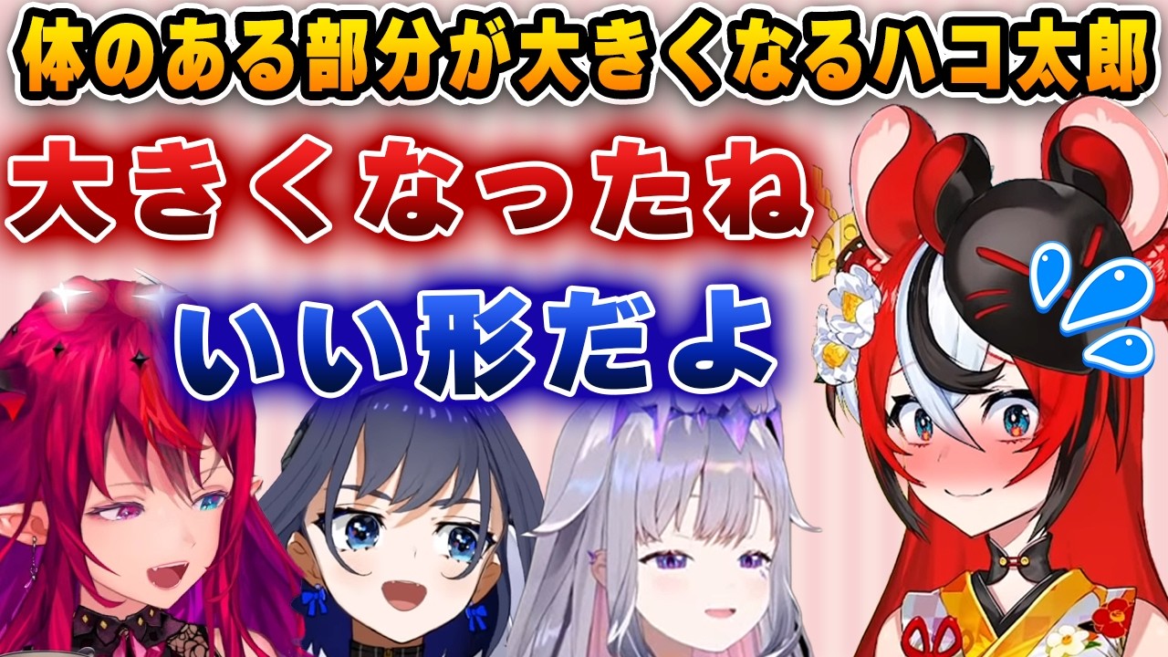 １年間で成長し、柔らかく大きくなったハコ太郎【ホロライブ/アイリス/ハコ太郎/ベールズ/クロニー/ビジュー】