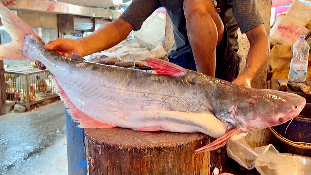 Expert Cutter Man | Amazing Big Pangas Fish Cutting By Expert Fish Cutter