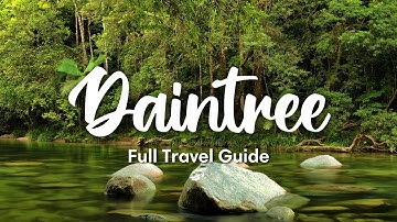 DAINTREE RAINFOREST, AUSTRALIA (2025) | Full Travel Guide To The Daintree Rainforest (+ Travel Tips)