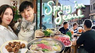 Week in Our Life in SEOUL | Spring Days, Home Cooking & Fav Side Dish From Korean MIL