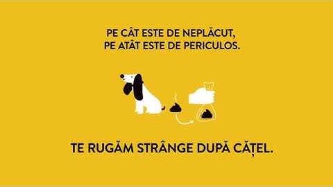 Si eu strang dupa catel!
