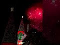 Kembang Api Central Park Christmas Night | Contrast Colour