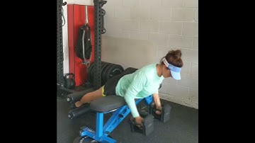 45 ISO Back Extension w/ DB Row