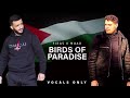 Birds Of Paradise Vocals Only No Music Firas X Muad Birds Of Paradise Vocals Only No Music Firas X Muad