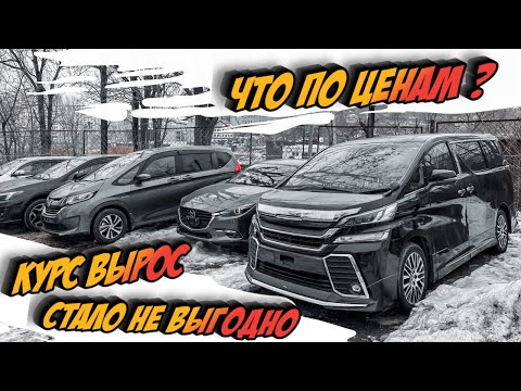 Авто из Японии, На Таможне Аврал, Цены Выросли ❗️