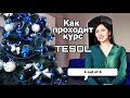 как проходит курс TESOL//мой опыт и впечатления