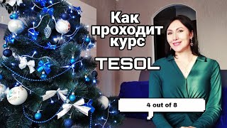 как проходит курс TESOL//мой опыт и впечатления