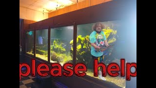 please help trip to Rochester NY to pet world