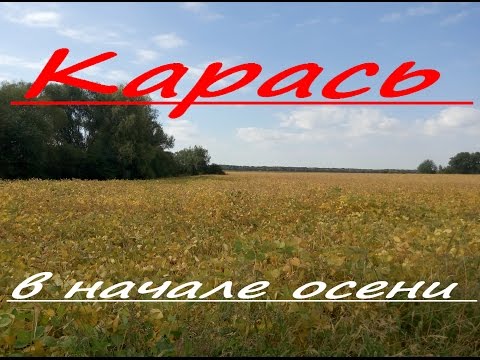 рыбалка в начале осени