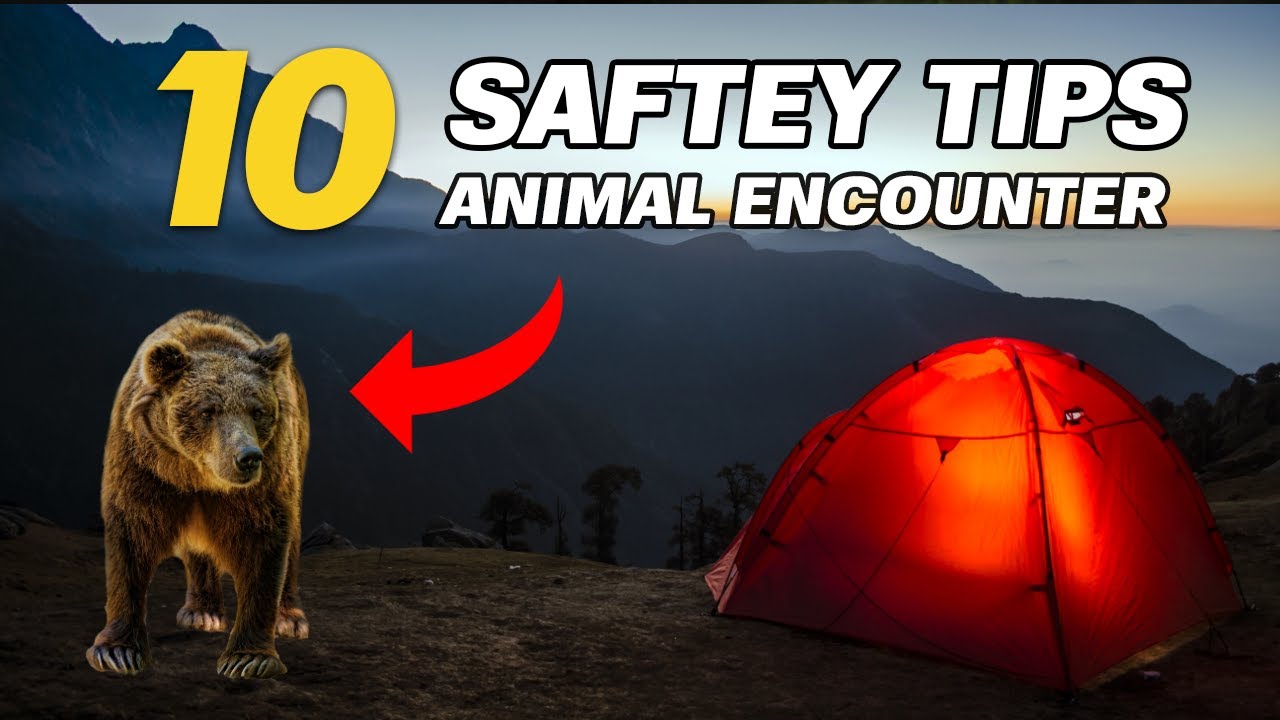 How to Handle Animal Encounters While Backpacking