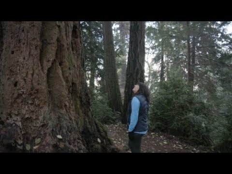 Vídeo: O que fazer no Point Defiance Park em Tacoma