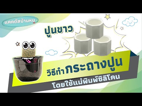 วิธีทำ "กระถางปูนซีเมนต์สีขาว" โดยใช้แม่พิมพ์ซิลิโคน I แคคตัสบ้านหมู