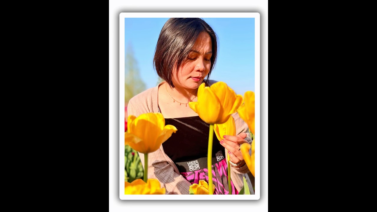 #photodump #shorts #tulips #spring #springseason #japan